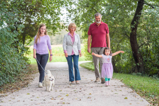 istock Multi Generation Family Spending Quality Time in a Public Park 1341723385