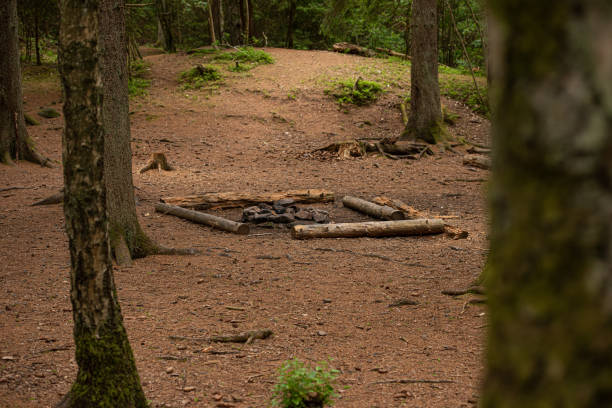 istock Benches and camp fire in the woods.. 1341727847