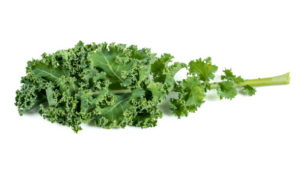 istock Kale leaf salad vegetable isolated on white background. Creative layout made of kale closeup. 1341728060