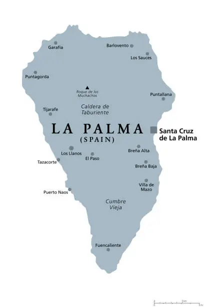 Vector illustration of La Palma island, gray political map, part of the Canary Islands, Spain