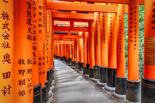 Kyoto, Japan - November 20th, 2020 : Senbon Torii Red Torii Gates in a row at Fushimi Inari Shrine, a pathway of thousands of torii gates. Senbon Torii in Kyoto, Japan, East Asia
