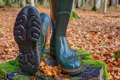 In wet leaves you need a non-slip sole and waterproof shoes. The rubber boot, with dry feet safely through the wet season.