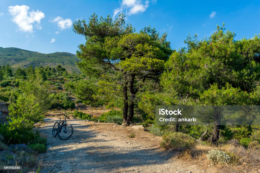 Electric bicycle on top of Penteli mountain. E-bike, mountain bike in the forest. Electric bicycle on top of Penteli mountain. E-bike, mountain bike in the forest. Greece. Greece Stock Photo