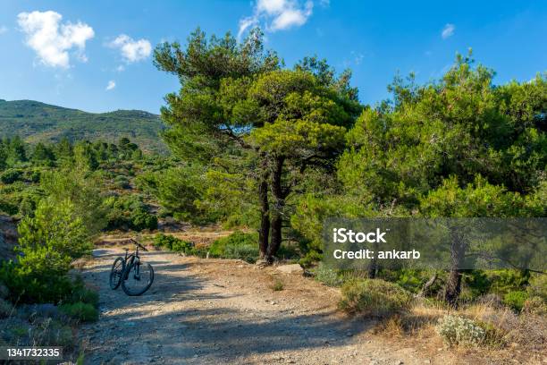 Electric Bicycle On Top Of Penteli Mountain Ebike Mountain Bike In The Forest Stock Photo - Download Image Now