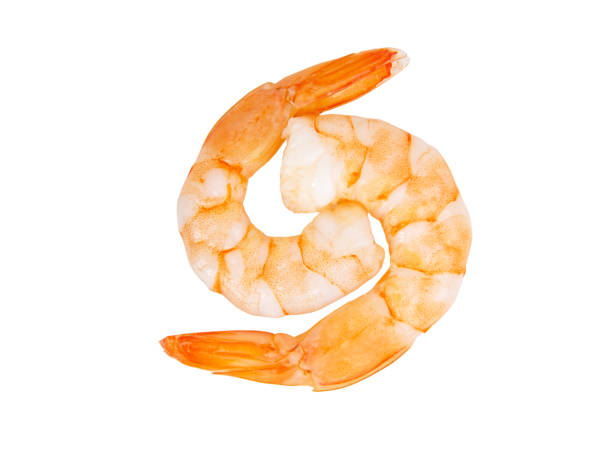istock Two peeled shrimps isolated on the white background 1341732372
