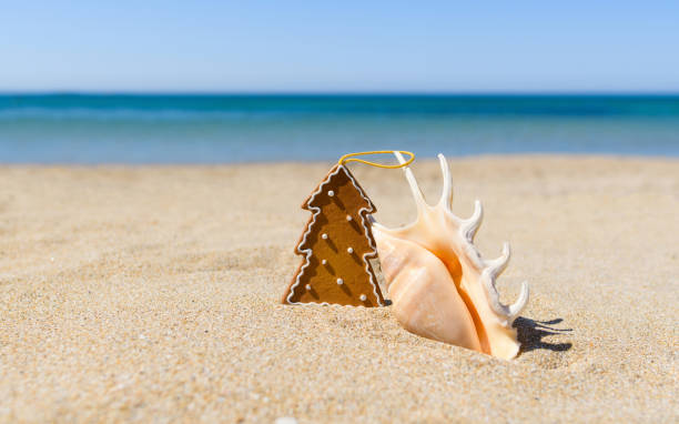 istock A gingerbread Christmas tree toy next to a large seashell on a sandy beach. 1341733309