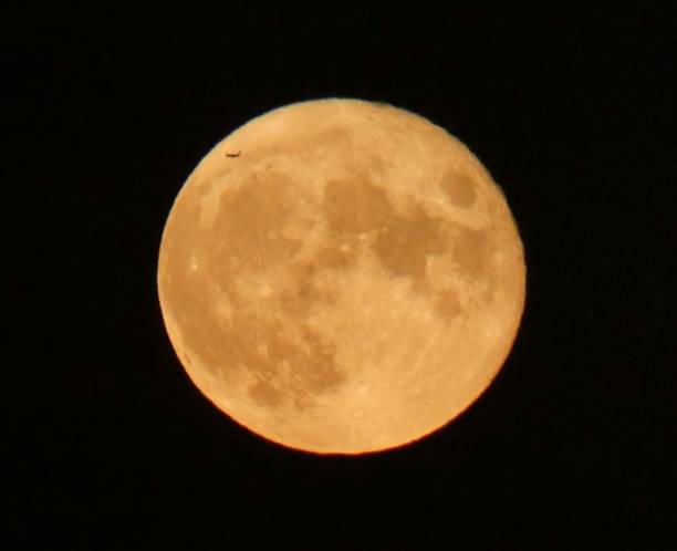 istock Flying in the full moon 1341734750