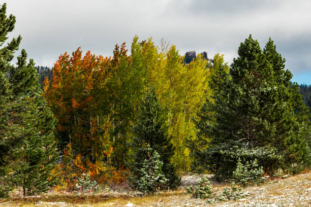 istock September Snow and Fall Colors on Rabbit Ears ass 1341736221