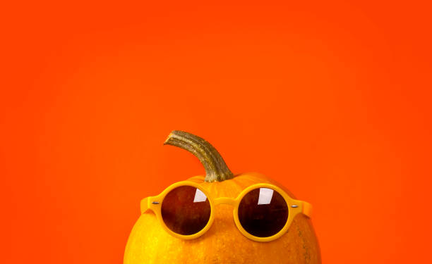 fond de thanksgiving ou d’halloween avec citrouille portant des lunettes de soleil. - color image thanksgiving photography harvest festival photos et images de collection