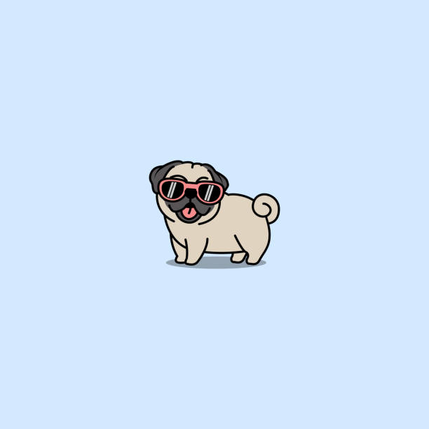 ilustrações, clipart, desenhos animados e ícones de cachorro pug bonito com óculos escuros desenho animado, ilustração vetorial - pug