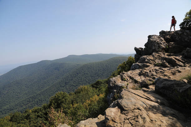 Hawksbill Summit at Shenandoah National Park Hawksbill Summit at Shenandoah National Park
Hawksbill is Shenandoah’s highest peak at 4,051 ft.  It offers a magnificent 360-degree panoramic view of the Shenandoah Valley, the Blue Ridge Mountains, and the Virginia Piedmont. shenandoah national park photos stock pictures, royalty-free photos & images