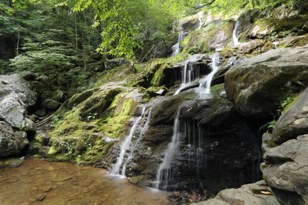 istock Dark Hollow Falls at Shenandoah National Park 1341742228