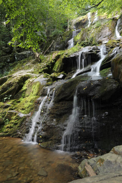 istock Dark Hollow Falls at Shenandoah National Park 1341742273