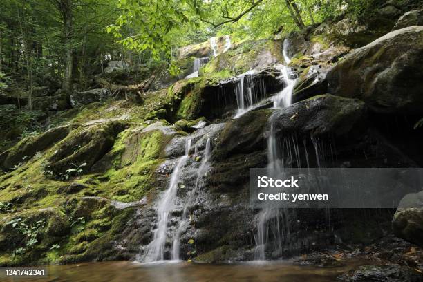 Dark Hollow Falls At Shenandoah National Park Stock Photo - Download Image Now - Virginia - US State, Landscape - Scenery, Horizontal