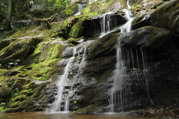 Dark Hollow Falls at Shenandoah National Park