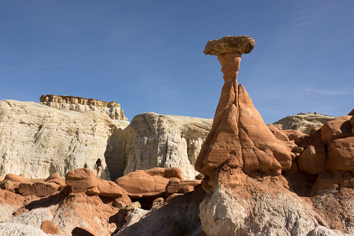 Hiking through the eroded sandstone landscape, a woman admires the sculpted toadstool or mushroom rock along the Toadstool Trail in Escalante National Monument Arizona.