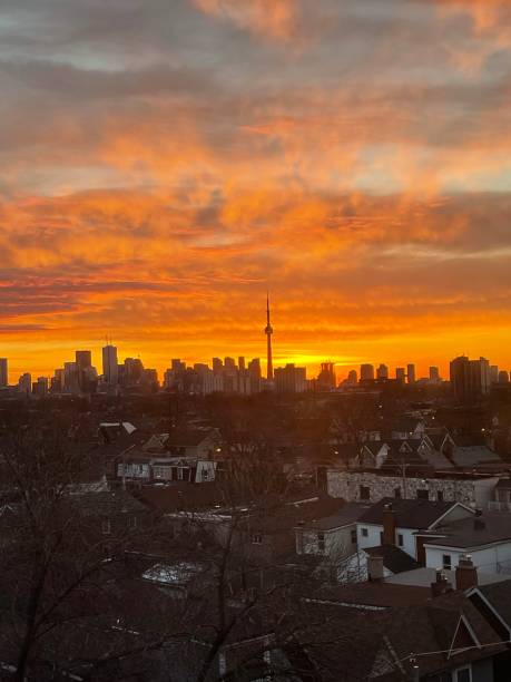 istock Toronto city skyline at sunrise 1341745350