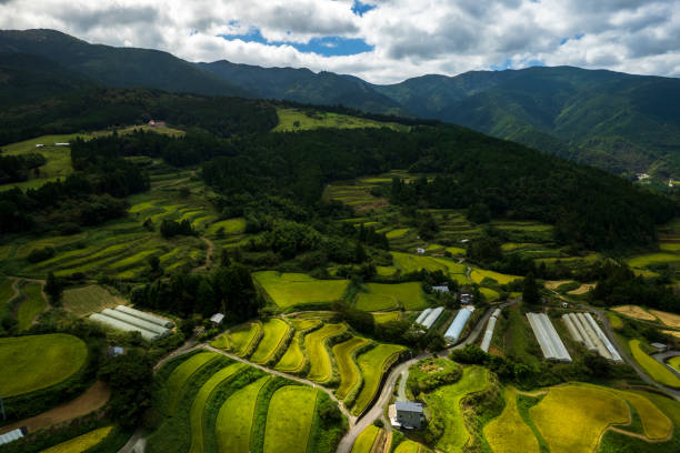 istock Beautiful terraced rice fields in Kochi prefecture, Japan 1341749177