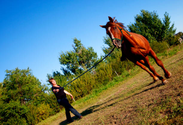 Middle aged woman trains her horse in Saskatchewan