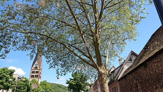 Old Ettlingen town.