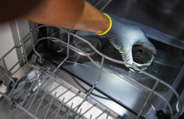 istock Residential Dishwasher Filter Cleaning 1341752516
