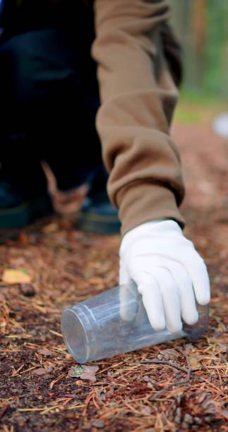 istock Arm of a man who is cleaning a forest 1341756622