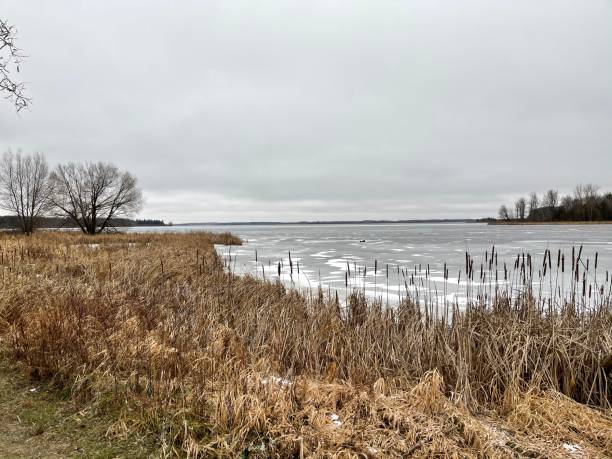 istock Frozen lake in winter 1341758610
