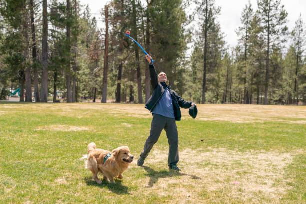 istock Senior man playing fetch with his golden retriever 1341759766