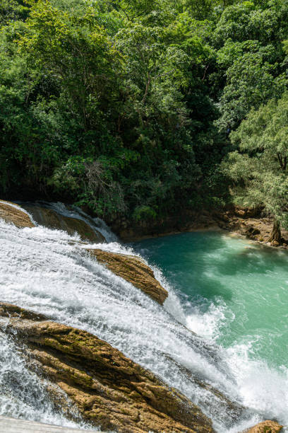 istock The Sigh waterfall in Chiapas, Mexico 1341761333