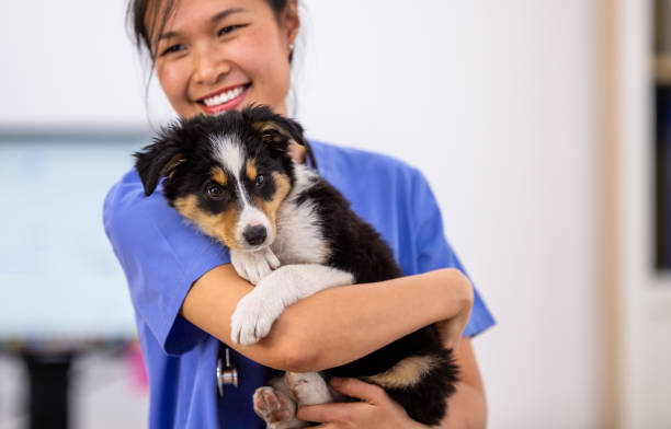 istock Veterinarian Cuddling a Puppy in Her Arms 1341763600