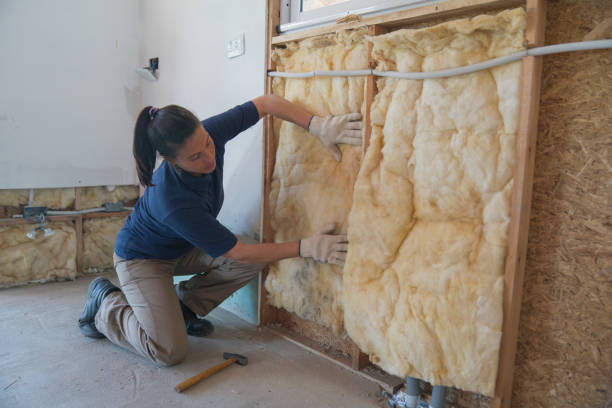 istock Female worker installing fiberglass insulation on wall during wood frame house construction 1341764355