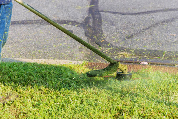 istock Lawn mower worker man cutting grass in roadside 1341765706