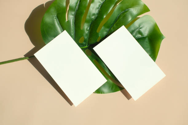 istock Business card mock-up with shadow 1341769077