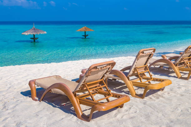 istock Sun bed and parasol at tropical beach 1341769788