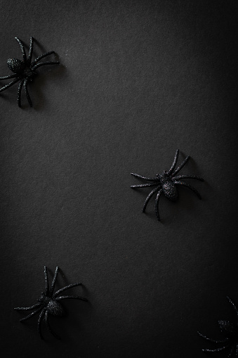 Halloween background with crawling spiders on black background