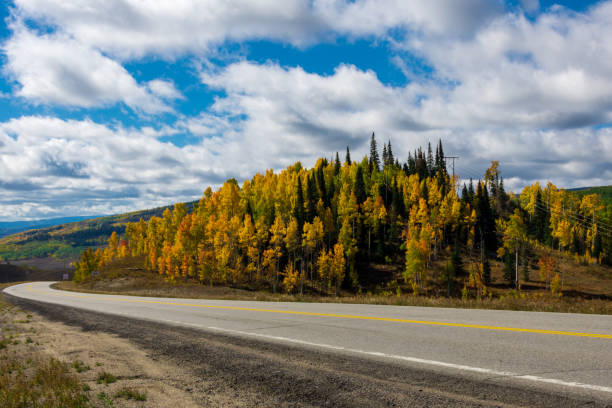 Yellow and orange colors alongh highway 40 as it goes over Rabbit Ears Pass