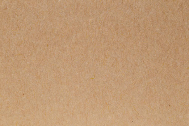 istock Brown eco recycled kraft paper sheet texture cardboard background. 1341773948