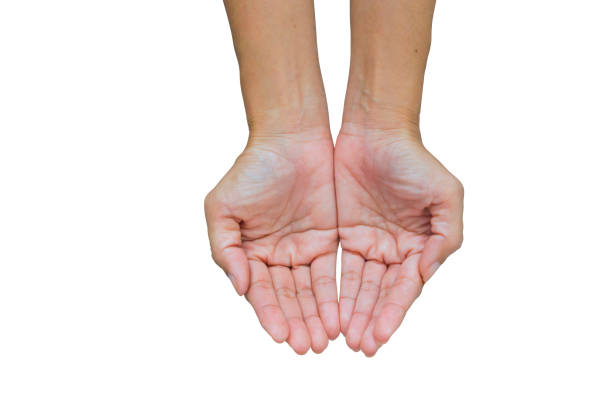 istock Two open empty woman hands with palms up isolated on white background - Clipping path 1341781314