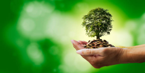 monedas de bandera con árbol en las manos de las personas sobre fondo verde con bokeh - ahorrando dinero para el futuro - growth plant human hand tree fotografías e imágenes de stock