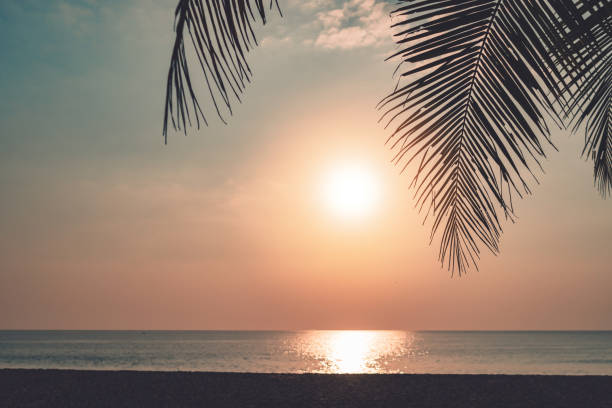 istock Tropical nature clean beach sunset sky time with sun light background. 1341784937