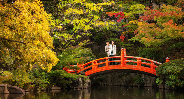 молодая пара стоит на традиционном японском маленьком мостике - couple autumn embracing bridge стоковые фото и изображения