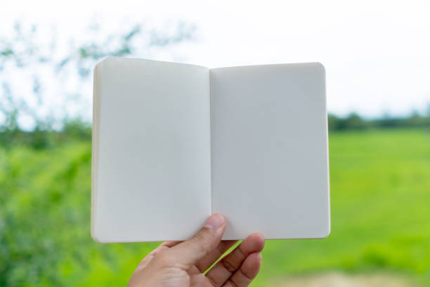 istock On a natural background, copy a white paper space. Use to add text to a white blank space. 1341785016