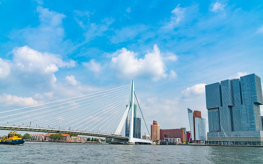 Rotterdam Netherlands - August 22 2021; Stunning mordern Erasmus cable stay bridge with port tug boat passing under and modern De Rotterdam building on waterfront on other side.