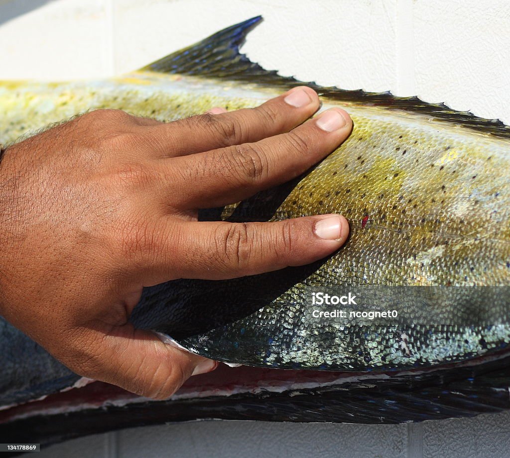 Pesce fresco - Foto stock royalty-free di Alimentazione sana