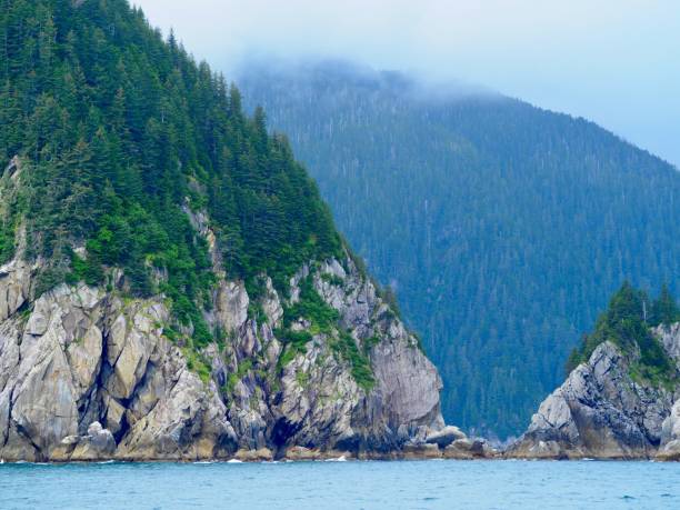 istock Kenai Fjords 1341790955