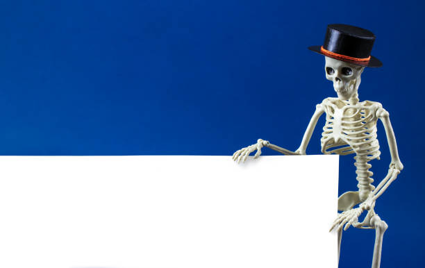 istock Human skeleton in black hat holds blank sing board on blue background. Zombie behind white banner for advertisement with copy space. Concept of coming soon of Halloween, discounts, sales 1341798083