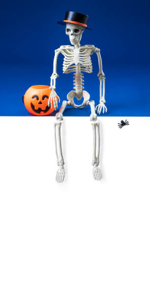 istock Human skeleton in black hat with pumpkin Jack O Lantern basket sits with its legs dangling on white banner for advertisement. Vertical blank signboard with copy space 1341798114