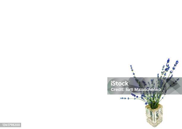 A Bouquet Of Blue Lavender Flowers In A Glass Vase Stock Photo - Download Image Now