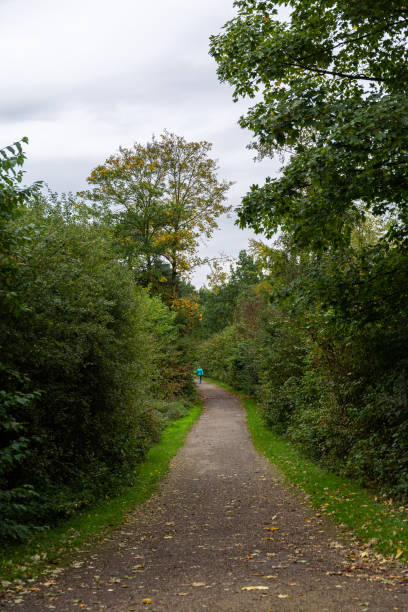istock View to path and plants in park 1341800798