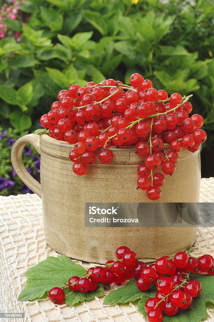 Keramik Tasse voller Frische Rote Johannisbeere Beeren - Lizenzfrei Garkochen Stock-Foto